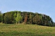 15 Il roccolo della Corna ben rinverdito  
